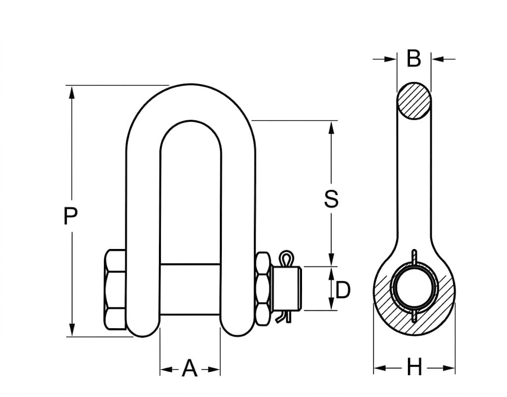 Bolt Type D Shackle G2150